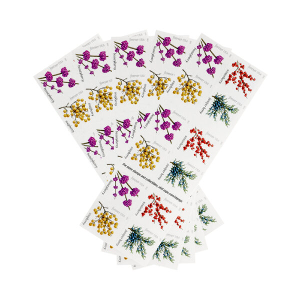 2019 US Winter Berries Forever Stamps - Image 5